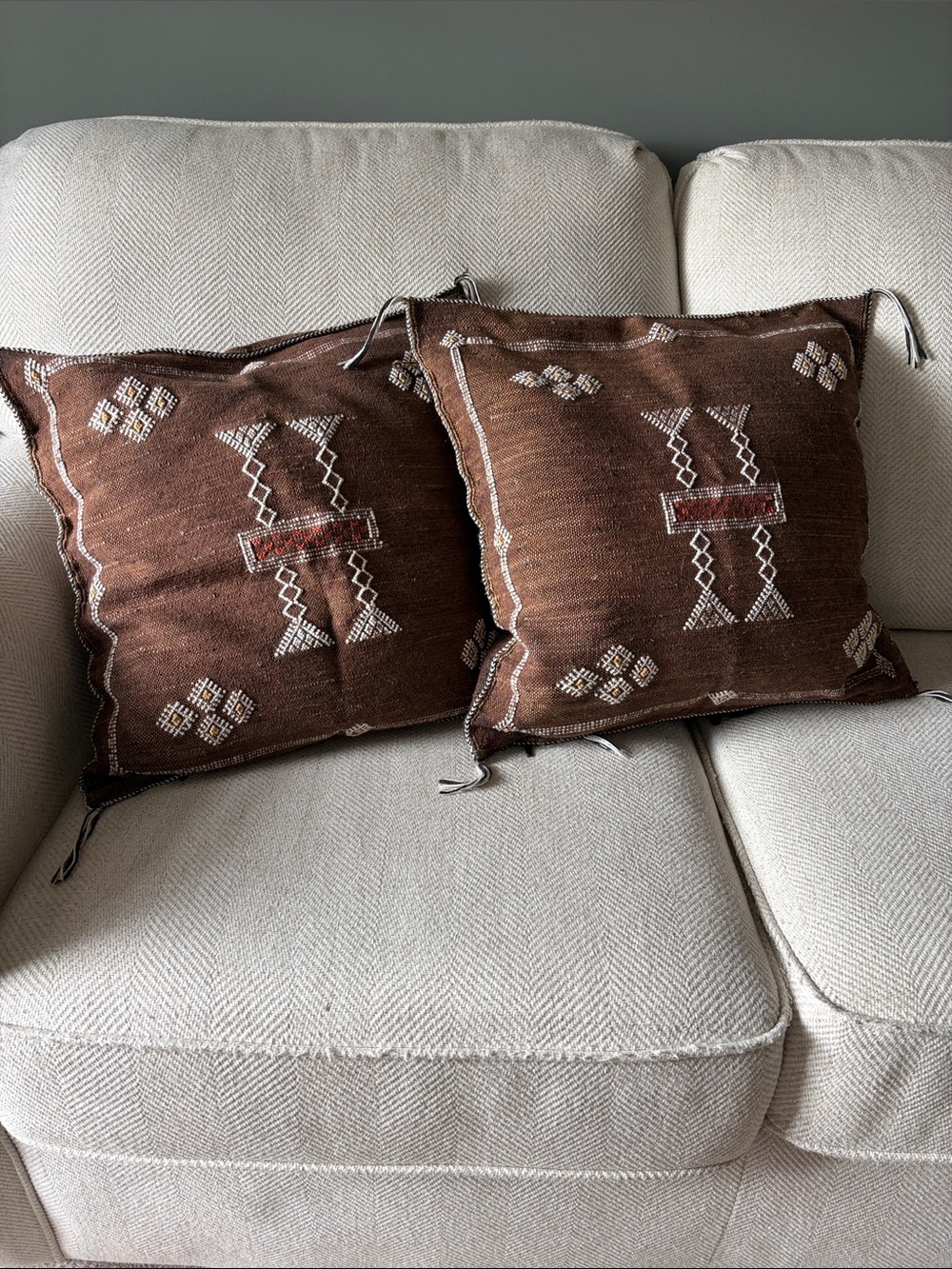 Dark Brown Moroccan Cactus Silk Pillow Covers